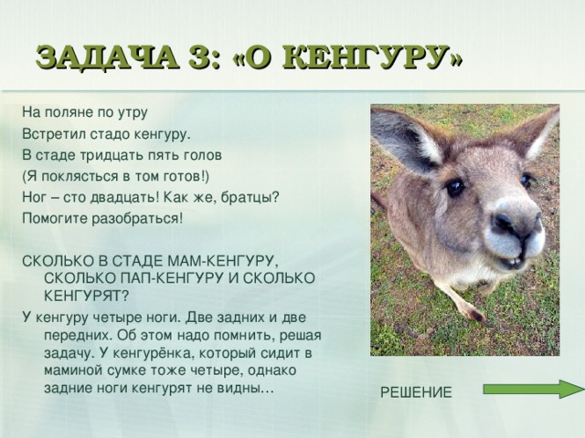 ЗАДАЧА 3: «О КЕНГУРУ» На поляне по утру Встретил стадо кенгуру. В стаде тридцать пять голов (Я поклясться в том готов!) Ног – сто двадцать! Как же, братцы? Помогите разобраться! СКОЛЬКО В СТАДЕ МАМ-КЕНГУРУ, СКОЛЬКО ПАП-КЕНГУРУ И СКОЛЬКО КЕНГУРЯТ? У кенгуру четыре ноги. Две задних и две передних. Об этом надо помнить, решая задачу. У кенгурёнка, который сидит в маминой сумке тоже четыре, однако задние ноги кенгурят не видны…  РЕШЕНИЕ