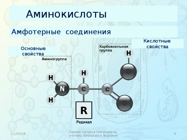 Амин полимер. Аминокислоты амфотерные соединения. Кислотно-основные свойства органических молекул. Амфотерное соединение белка. Аминокислоты как амфотерные органические соединения.
