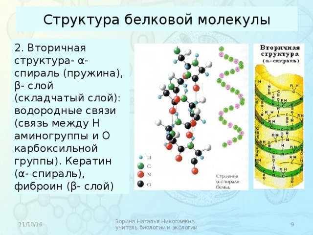 Молекула 2 состав. Строение белка кератина. Состав белка кератина структура. Кератин белок структура. Молекула кератина структура.