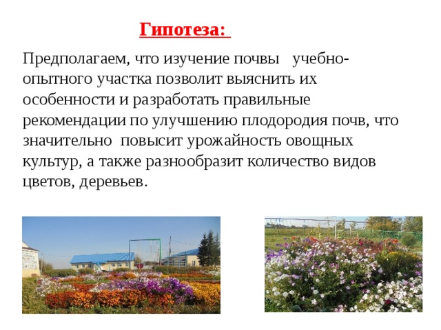 Гипотеза: Предполагаем, что изучение почвы учебно-опытного участка позволит выяснить их особенности и разработать правильные рекомендации по улучшению плодородия почв, что значительно повысит урожайность овощных культур, а также разнообразит количество видов цветов, деревьев.