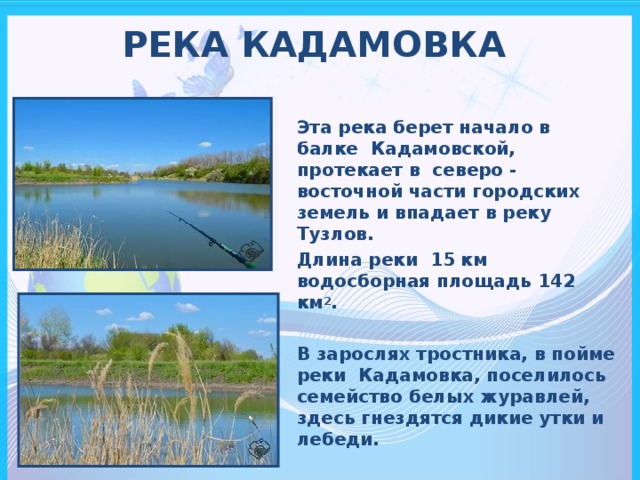 РЕКА КАДАМОВКА   Эта река берет начало в балке Кадамовской, протекает в северо - восточной части городских земель и впадает в реку Тузлов. Длина реки 15 км водосборная площадь 142 км 2 .  В зарослях тростника, в пойме реки Кадамовка, поселилось семейство белых журавлей, здесь гнездятся дикие утки и лебеди.