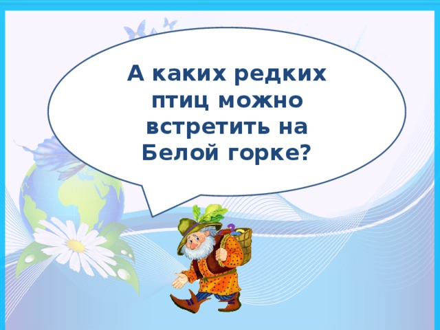 А каких редких птиц можно встретить на Белой горке?